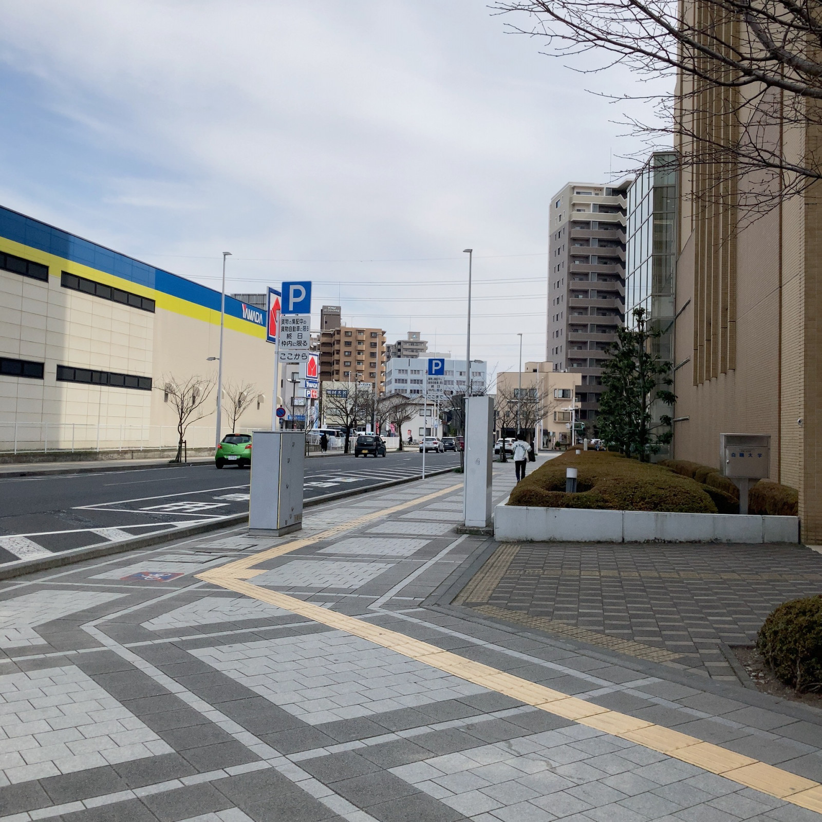 白鴎大学の大きな建物が正面に見える交差点の横断歩道と、右折して入る駅東大通りの歩道風景